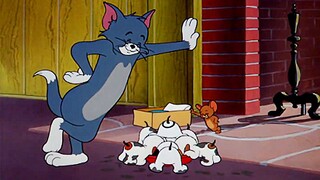 【Tom và Jerry】☝🤓 Chú chó lạc (1949)⚡⚡⚡