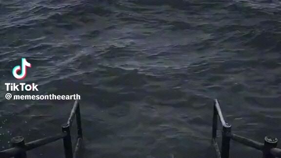 pov: you & your barber