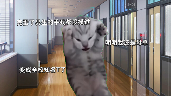 关于我变成学校知名T的故事