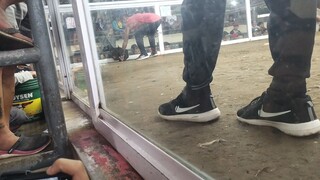 win sa Luisiana