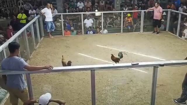 2 hits na mga idol