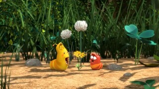 LARVA FUNNY MOVIE