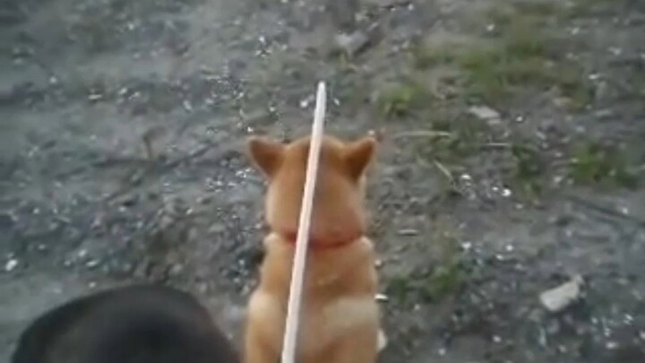 This master has no blind spots—so cool I just had to draw it!