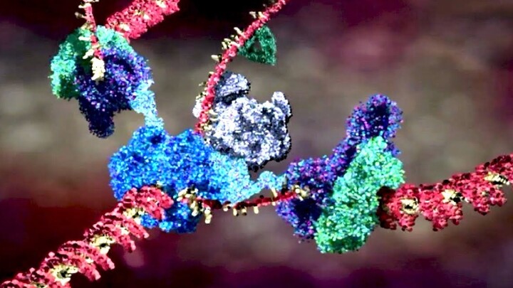 The Astonishing Molecular Machinery Inside Your Body [Official Bilingual] [Veritasium: The Element o
