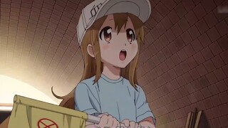 [Otome Voice] Kẻ cướp giọng nói Moe