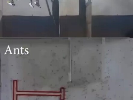 Heaven-Defying Video – What Does It Mean?