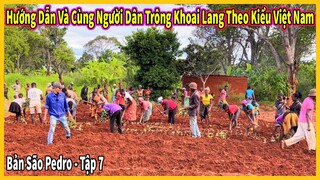 Bản São Pedro Tập 7 || Cùng Người Dân Trồng Khoai Lang Theo Kỹ Thuật Của Việt Nam