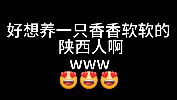 Pengin banget pelihara orang Shaanxi yang wangi dan lembut nihwww