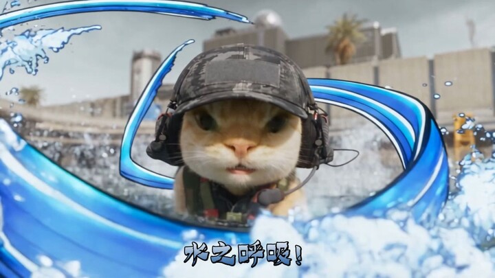 Di dunia ini sama sekali tidak ada kucing kecil seperti itu.