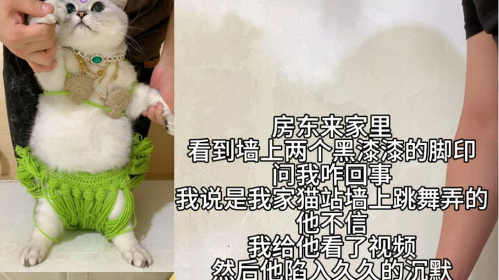 NaiGao, who dances hard every day, even leaves the landlord speechless.