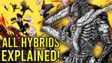 ALL Hybrids RANKED and EXPLAINED! (Chainsaw Man)