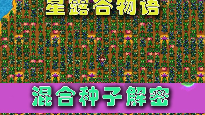 【สตาร์ฟรีก】ห้าความลับของเมล็ดพันธุ์ผสม