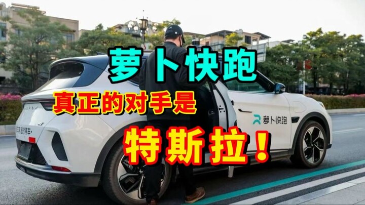 The hidden strategy behind Luobo Kuaipao: the real battle for survival in the new-energy vehicle mar