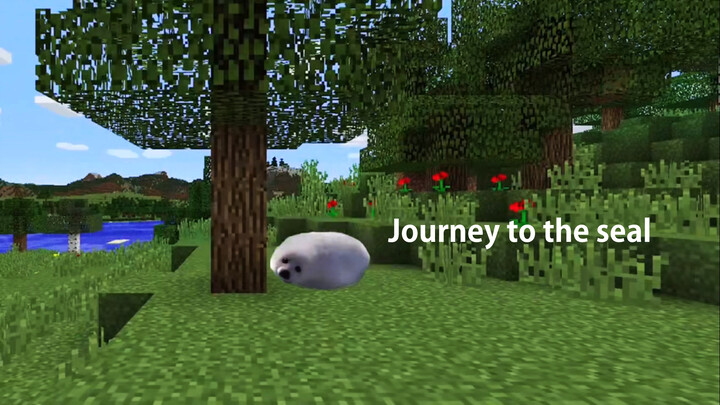 Chuyến đi của hải cẩu con trong Minecraft