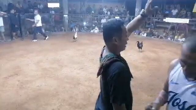 grey hatch cross TORNADO win at cuyo palawan