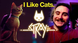 Cyberpunk Jedi Cat! Stray Gameplay Trailer Reaction