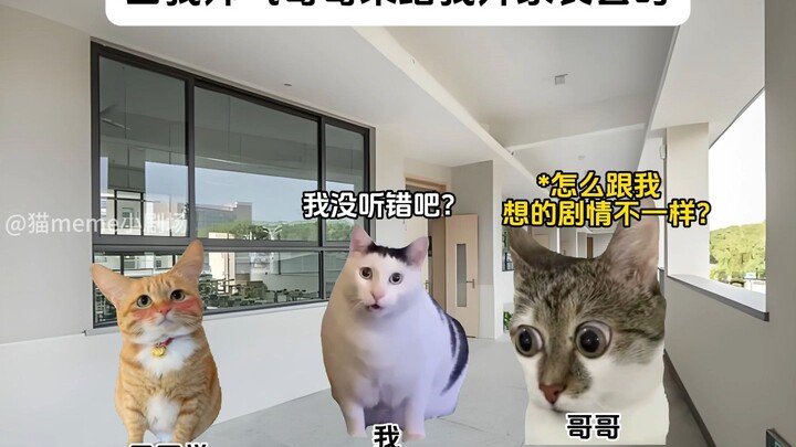 当你的帅气哥哥来开家长会时