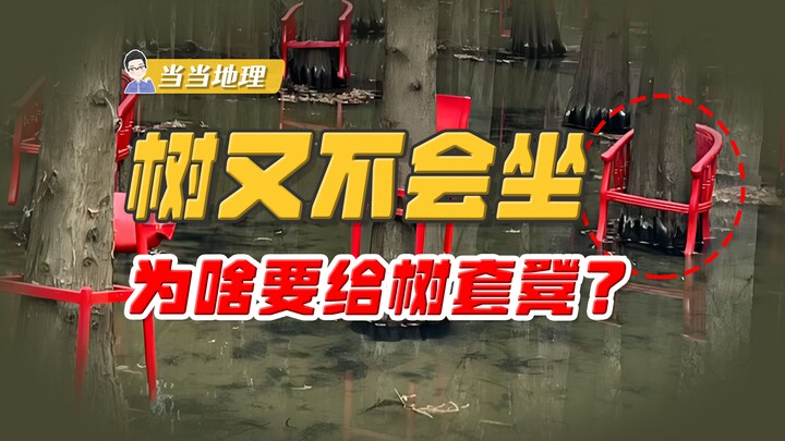 Pohon kan nggak bisa duduk, kenapa harus dipasangi bangku merah? [Dangdang Geografi]