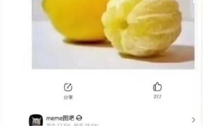 Little Sister: Brother, are you being polite?!