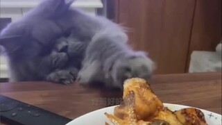 Extreme Hunger