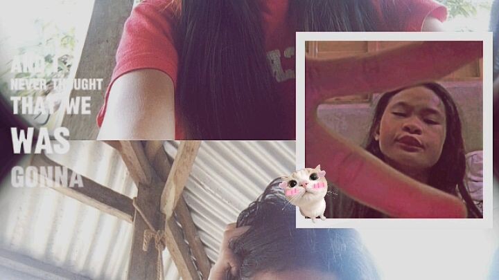 pataka rajod SI nickie o