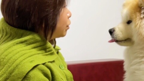 The owner works from home, and the dog becomes more and more clingy.