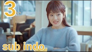 Accidentally in Love episode 3 sub indo