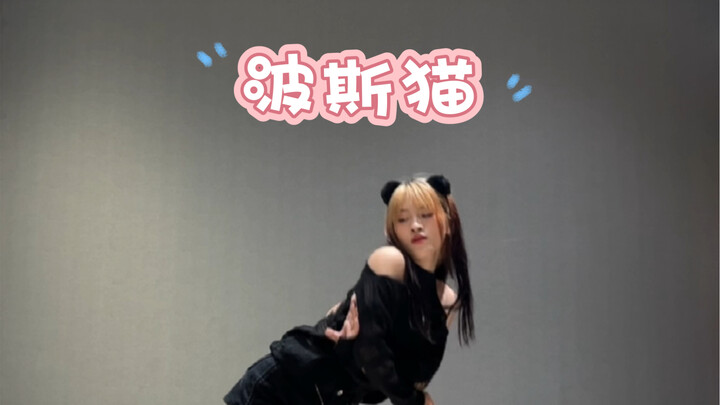 【หลิวจวิ้นออกแบบท่าเต้น】ฉบับรุ่น 3 ของ TF เต้นคัฟเวอร์เพลง “แมวเปอร์เซีย” พร้อมสอนท่า～