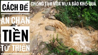 Cách để ăn chặn tiền từ thiện - Chống Tầu ngày mưa gió khổ quá!