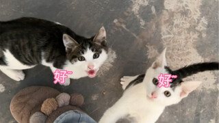 The two furry children also have their own names