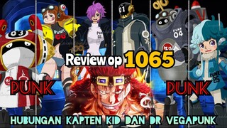 FULL REVIEW OP 1065 - KEKUATAN DF SAINS !!? | HUB. EUSTASS KID & VEGAPUNK !! | REVIEW ONE PIECE 1065