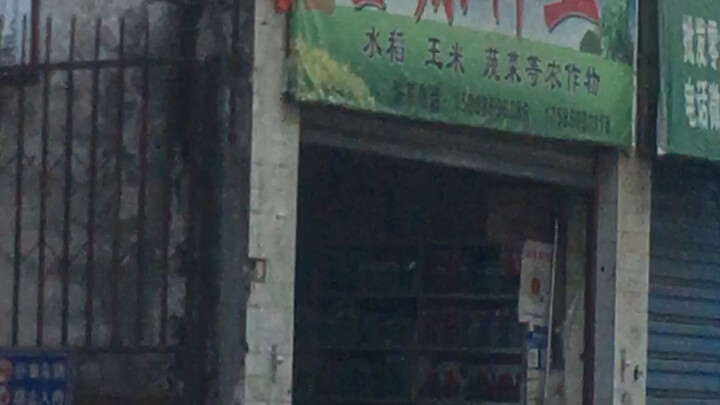 Divisi Kehidupan Rhein