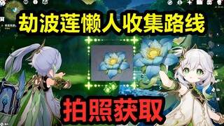 原神【劫波莲】懒人收集路线/拍照拾取/采集/全收集/位置/草神/纳西妲/突破材料//波劫莲/莲波劫/莲劫波/劫莲波/莲波劫/小吉祥草王/隔空取物