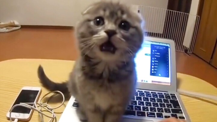 “Can you hang out with me for a bit?”