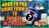 Noob To 2nd Sea in Less Than 5 Hours in A One Piece Game