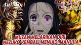 Muzan Melarikan Diri - Nezuko Kembali Menjadi Manusia - Review Kimetsu No Yaiba Chapter 195