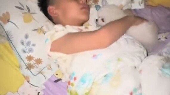 Tôi đã bí mật mua một chú chó con và tặng nó cho con trai tôi vào giữa đêm!