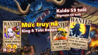 [Vivre Card]. Công bố Truy nã King “hoả hoạn” & Nhóm Tobi Roppo!