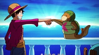 One Piece: Master and apprentice meet again in two years!