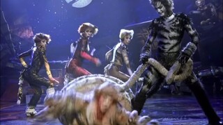 My favorite moments in Cats: The Musical (1998)