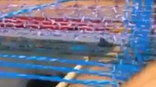 amazing newtrending viralvideo
