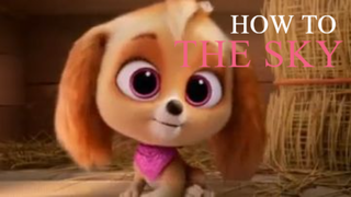 HOW TO THE SKY