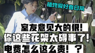热植爱好者日常｜电费怎么这么贵！你这些花架太碍事了！室友对我意见太大了…