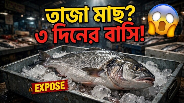 市场上的“新鲜鱼”是3天前的？ | বাজারের তাজা মাছ আসলে ৩ দিনের বাসি!Bangladesh Fish Market Expose