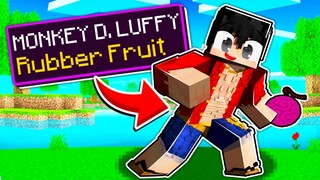 Becoming MONKEY D. LUFFY In Minecraft One Piece!