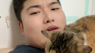 Ah, benar-benar menjengkelkan