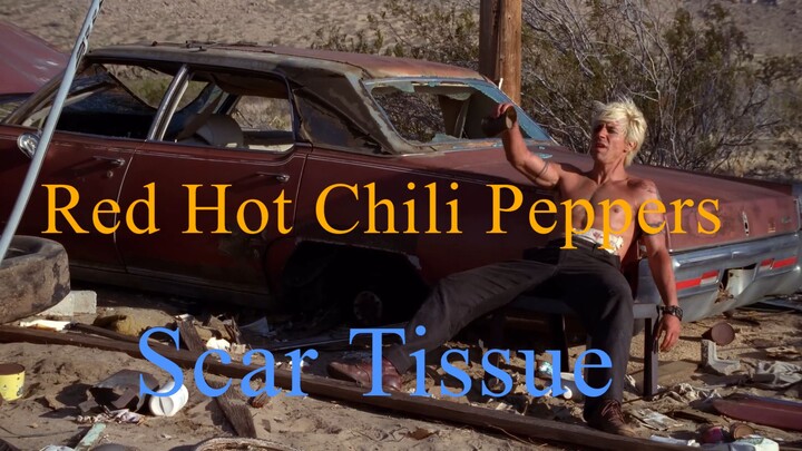 Red Hot Chili Peppers - Scar Tissue [Official Music Video]
