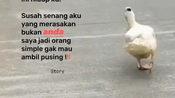 ngaca dulu deh...🧐🧐🧐