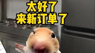 Khi một bà mẹ lần đầu tiên gọi đồ ăn mang về