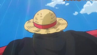 Perbedaan Opening one piece1 dan special 1000 episode ( we are!)